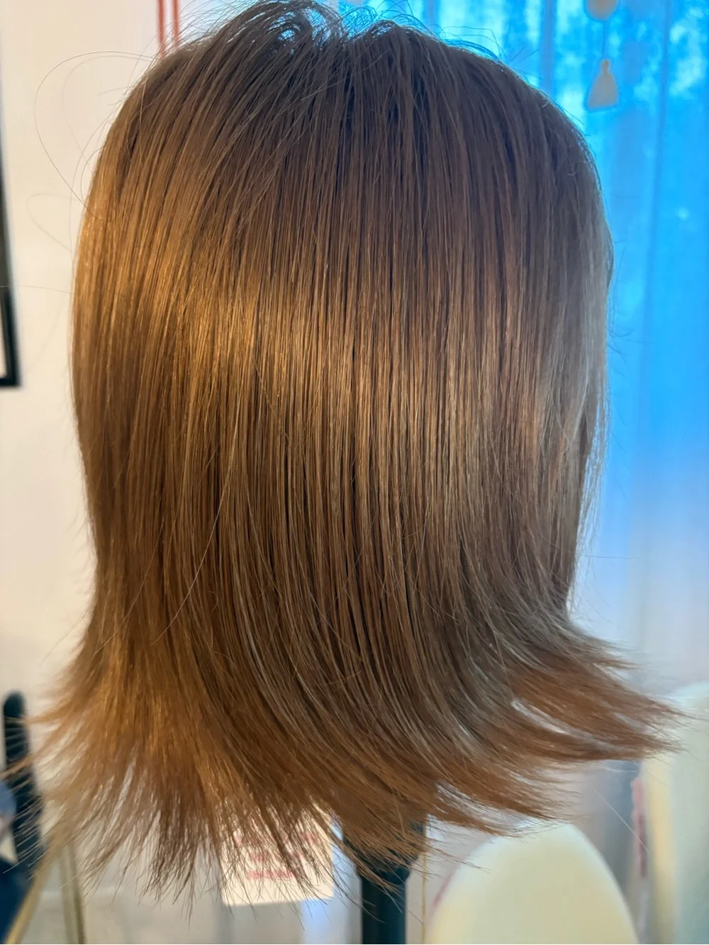PAULA YOUNG New CHASE Auburn Brown Synthetic straight Bob! Tags! Basic Cap.